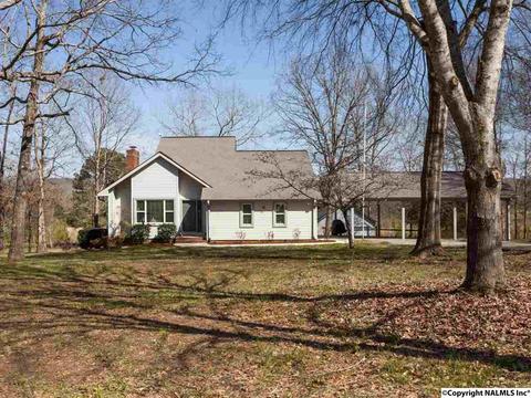 460 County Road 360, Trinity, AL 35673 photo 2