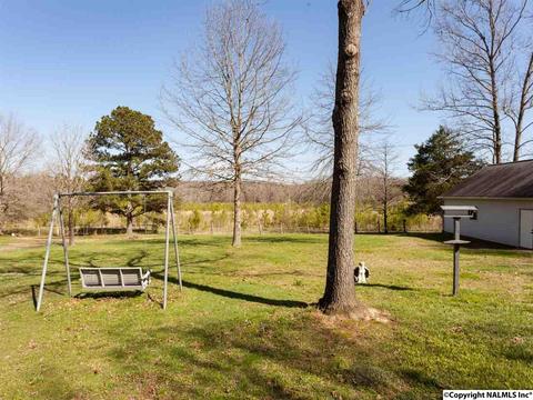 460 County Road 360, Trinity, AL 35673 photo 21