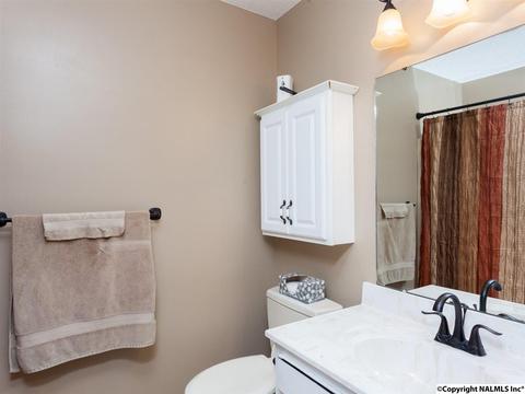 460 County Road 360, Trinity, AL 35673 photo 16