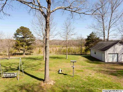 460 County Road 360, Trinity, AL 35673 photo 23
