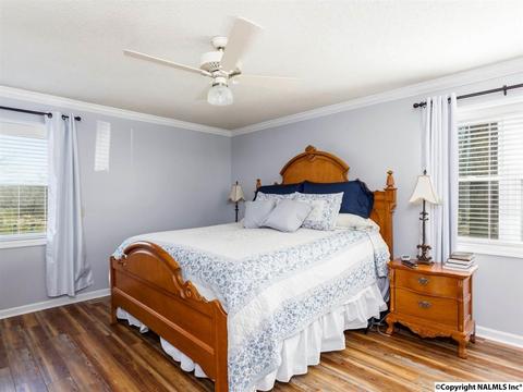 460 County Road 360, Trinity, AL 35673 photo 11