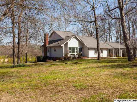 460 County Road 360, Trinity, AL 35673 photo 3