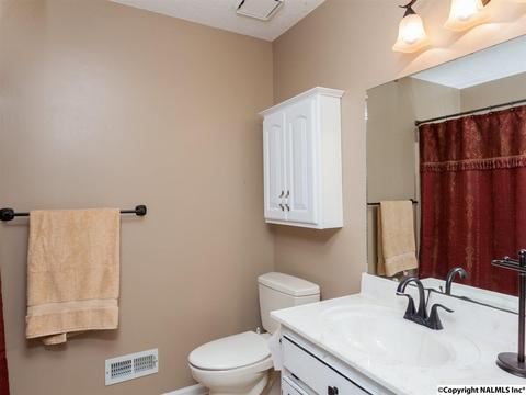 460 County Road 360, Trinity, AL 35673 photo 18