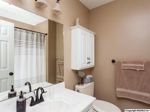 460 County Road 360, Trinity, AL 35673 photo 14
