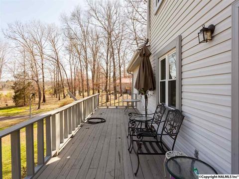 460 County Road 360, Trinity, AL 35673 photo 22