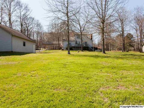 460 County Road 360, Trinity, AL 35673 photo 25