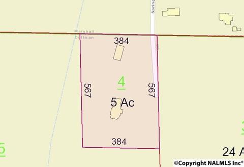 800 SE Spring Rd, Arab, AL 35016 photo 35