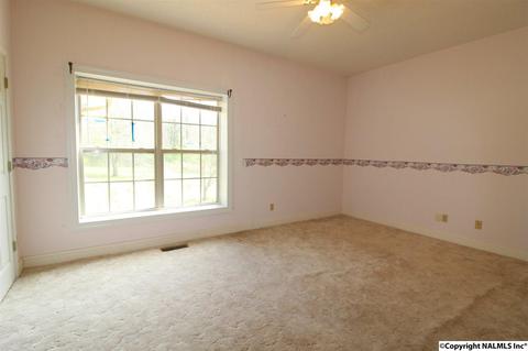 800 SE Spring Rd, Arab, AL 35016 photo 13