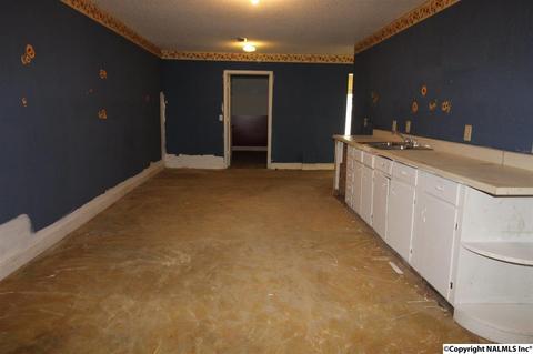 800 SE Spring Rd, Arab, AL 35016 photo 19