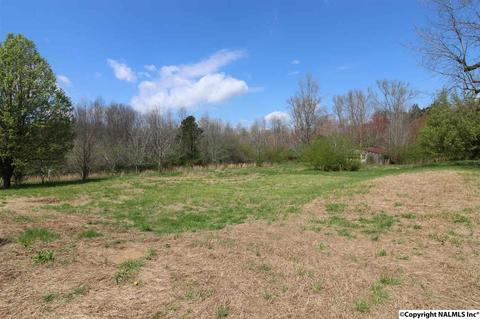 800 SE Spring Rd, Arab, AL 35016 photo 30