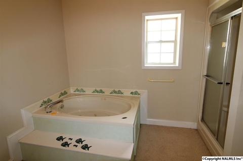 800 SE Spring Rd, Arab, AL 35016 photo 11