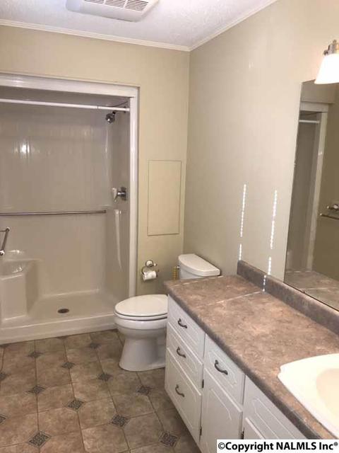 29 High St, Trinity, AL 35673 photo 10