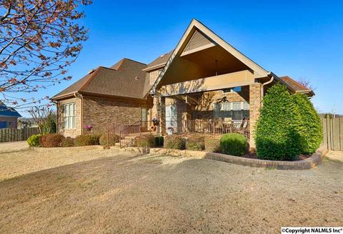 133 Appleton Ln, Madison, AL 35756 photo 37