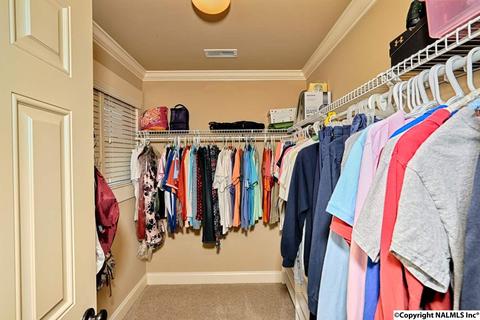 133 Appleton Ln, Madison, AL 35756 photo 30