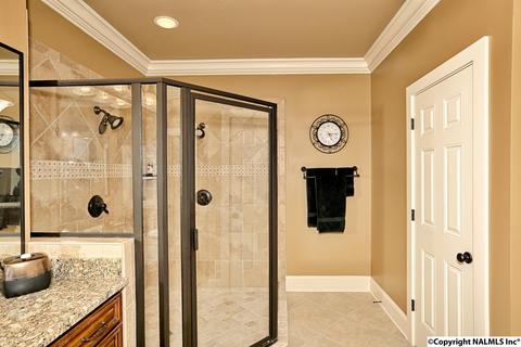 133 Appleton Ln, Madison, AL 35756 photo 21
