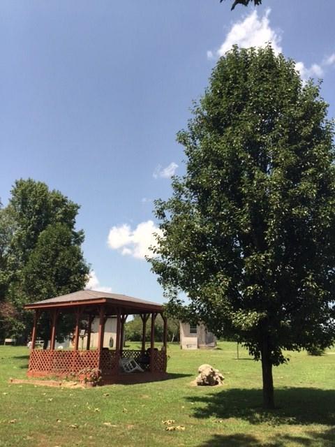 527 County Road 368, Trinity, AL 35673 photo 12