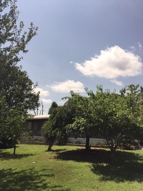 527 County Road 368, Trinity, AL 35673 photo 10