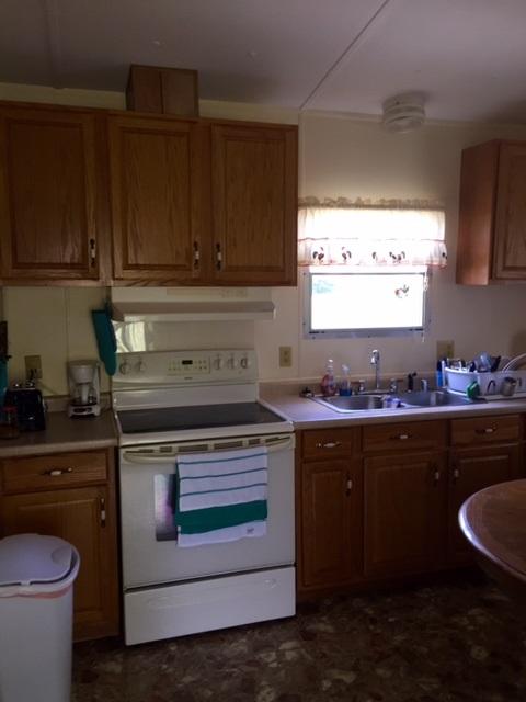 527 County Road 368, Trinity, AL 35673 photo 4