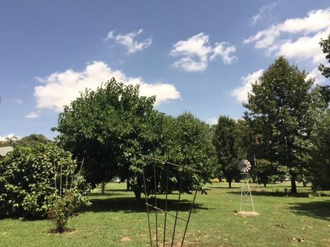 527 County Road 368, Trinity, AL 35673 photo 11