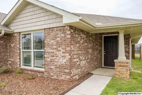 229 Fields Pond Dr, Madison, AL 35756 photo 4