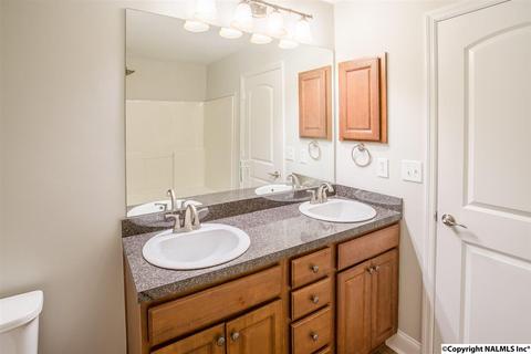 229 Fields Pond Dr, Madison, AL 35756 photo 15