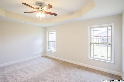 229 Fields Pond Dr, Madison, AL 35756 photo 13