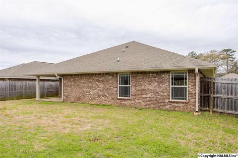 229 Fields Pond Dr, Madison, AL 35756 photo 23