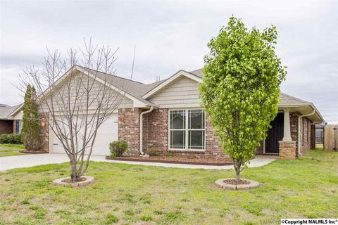 229 Fields Pond Dr, Madison, AL 35756 photo 1
