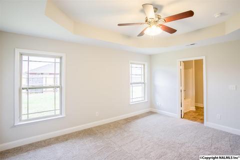 229 Fields Pond Dr, Madison, AL 35756 photo 12