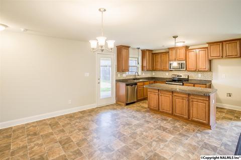 229 Fields Pond Dr, Madison, AL 35756 photo 11