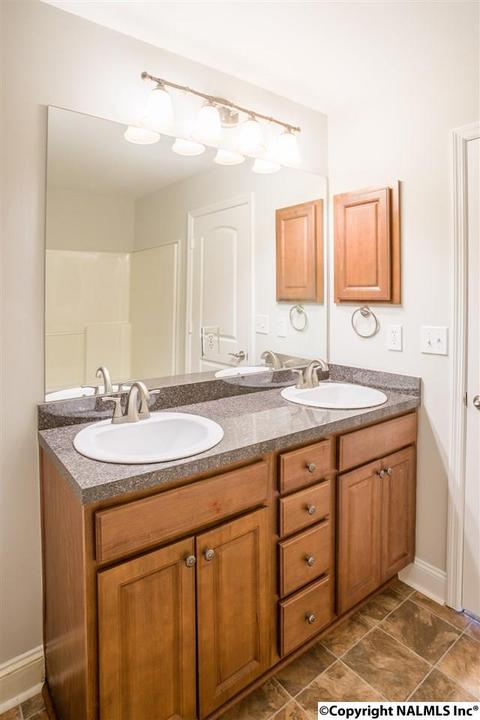 229 Fields Pond Dr, Madison, AL 35756 photo 16