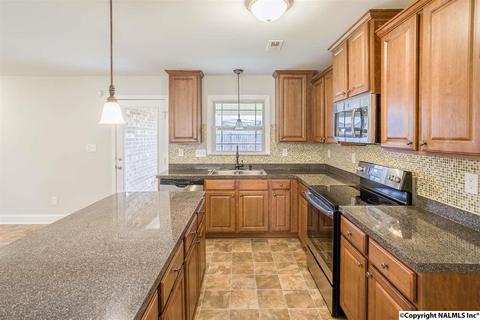 229 Fields Pond Dr, Madison, AL 35756 photo 9