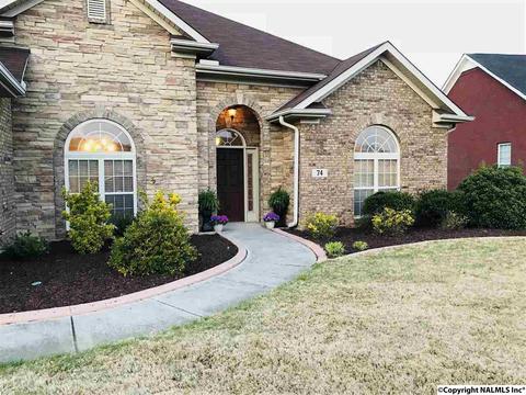 74 Mountain Cove Dr, Trinity, AL 35673 photo 1