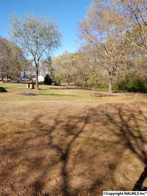 8525 County Road 214, Trinity, AL 35673 photo 18