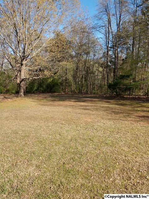 8525 County Road 214, Trinity, AL 35673 photo 17