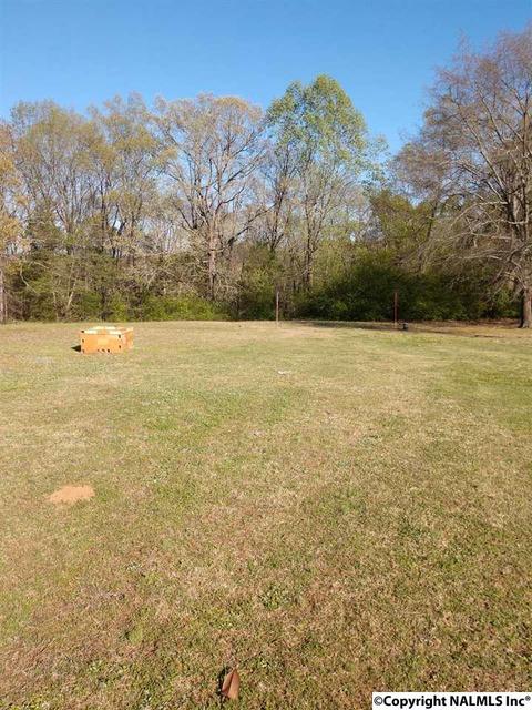 8525 County Road 214, Trinity, AL 35673 photo 13