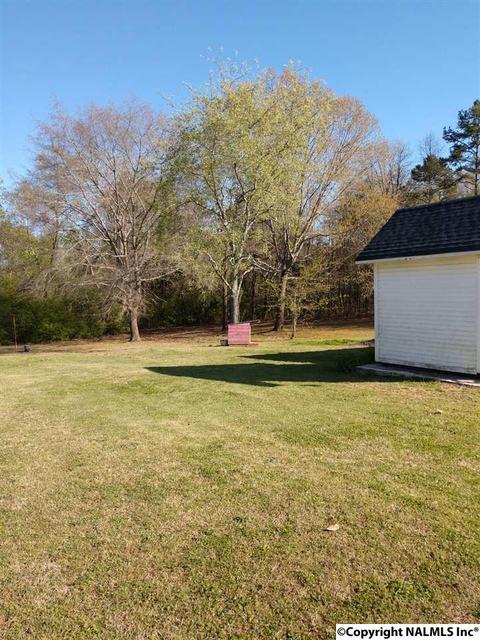 8525 County Road 214, Trinity, AL 35673 photo 12