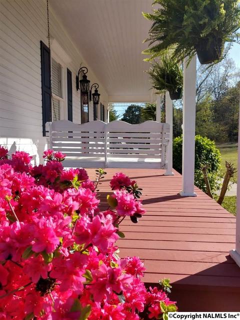 8525 County Road 214, Trinity, AL 35673 photo 5