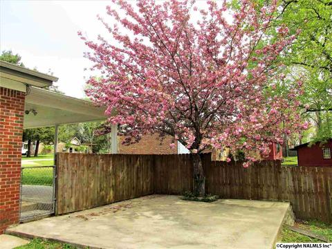 40 Olivia St, Trinity, AL 35673 photo 27