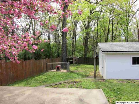 40 Olivia St, Trinity, AL 35673 photo 25