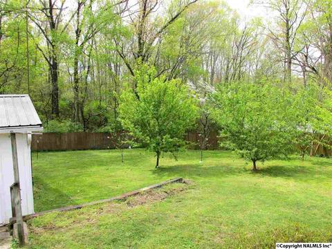 40 Olivia St, Trinity, AL 35673 photo 31