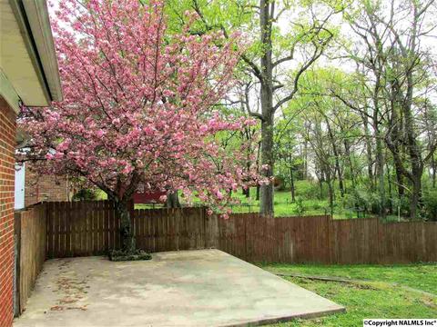40 Olivia St, Trinity, AL 35673 photo 26