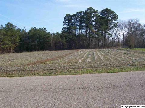 790 Powell Dr, Centre, AL 35960 photo 34