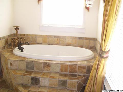 790 Powell Dr, Centre, AL 35960 photo 19