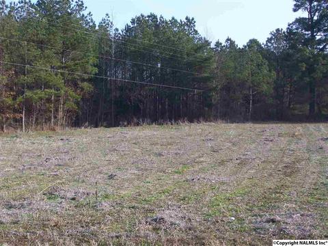 790 Powell Dr, Centre, AL 35960 photo 33