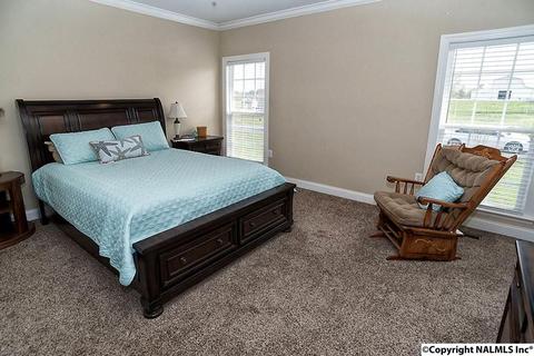 156 Lashae Loop, Grant, AL 35747 photo 10