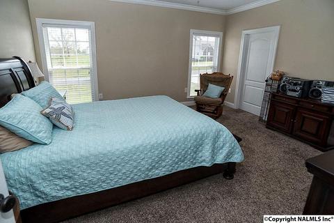 156 Lashae Loop, Grant, AL 35747 photo 11