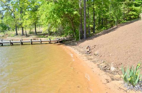 1010 Mohawk Bluff Driive, Ohatchee, AL 36271 photo 43