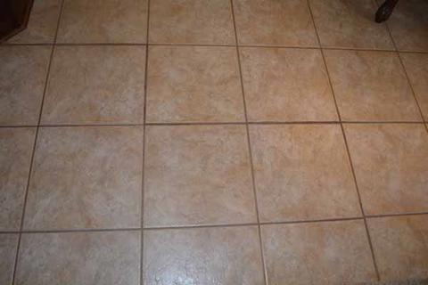 2581 County Road 358, Trinity, AL 35673 photo 25