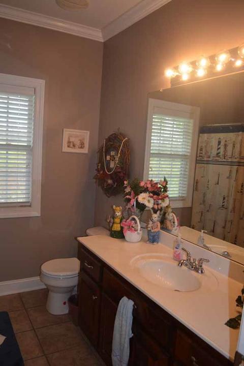 2581 County Road 358, Trinity, AL 35673 photo 17